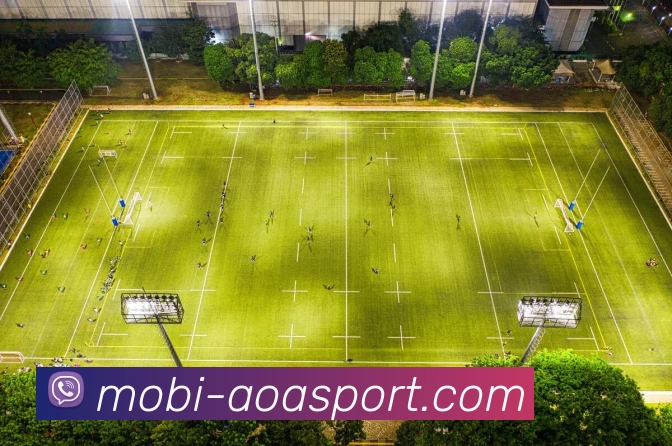 多媒体互动体验